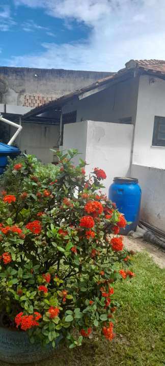 Conheça Apartamento à venda Rua João Gonçalves de Lima Filho, Ramos, Rio de Janeiro - R$ 215.000 - 215305 - 2 2