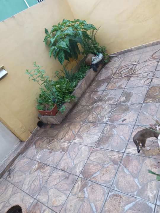 Conheça Casa de Vila à venda Rua Comendador Pinto, Campinho, Rio de Janeiro - R$ 195.000 - 1102 - 16 16