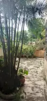 Conheça Apartamento à venda Rua Maranga, Praça Seca, Rio de Janeiro - R$ 165.000 - 306 - 19 19