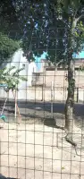 Conheça Apartamento à venda Rua Ana Teles, Campinho, Rio de Janeiro - R$ 200.000 - 305 - 14 14