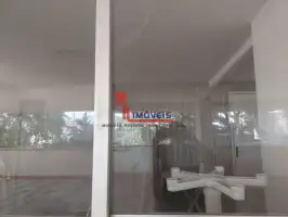 41