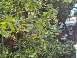 Quadra da Praia - Apto em ótima localização em Copacabana, na Quadra da praia, próximo do Metrô, 120m², garagem alugada - 1.200.000 - AP3094
