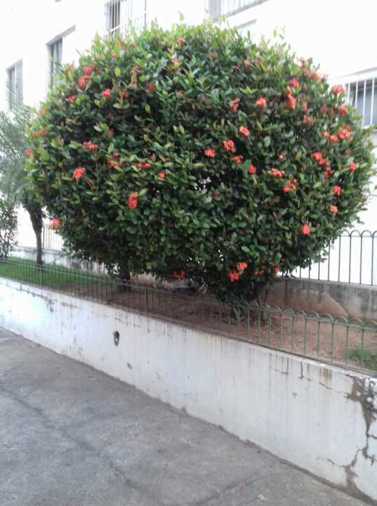 Conheça Apartamento 2 quartos à venda Rua Carinhanha - Magalhães Bastos, Rio de Janeiro - R$ 180.000,00 - 0002 - 24 24