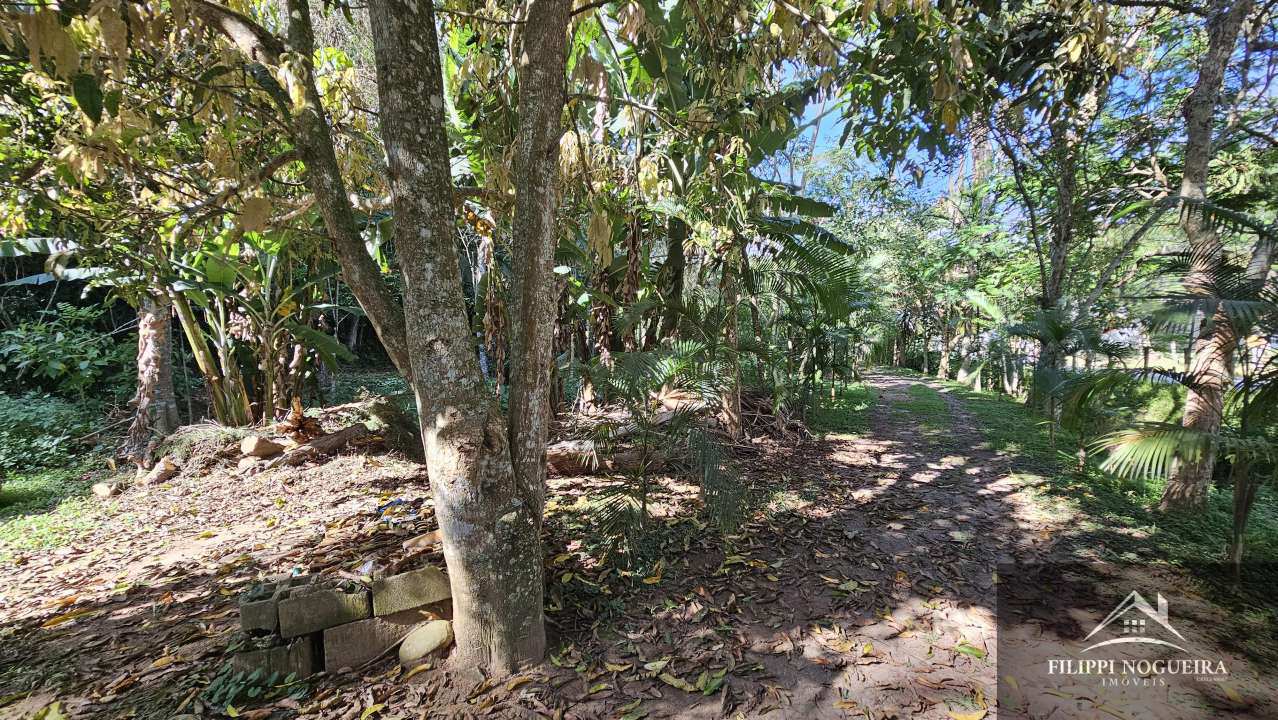 FOTO_5 - 5