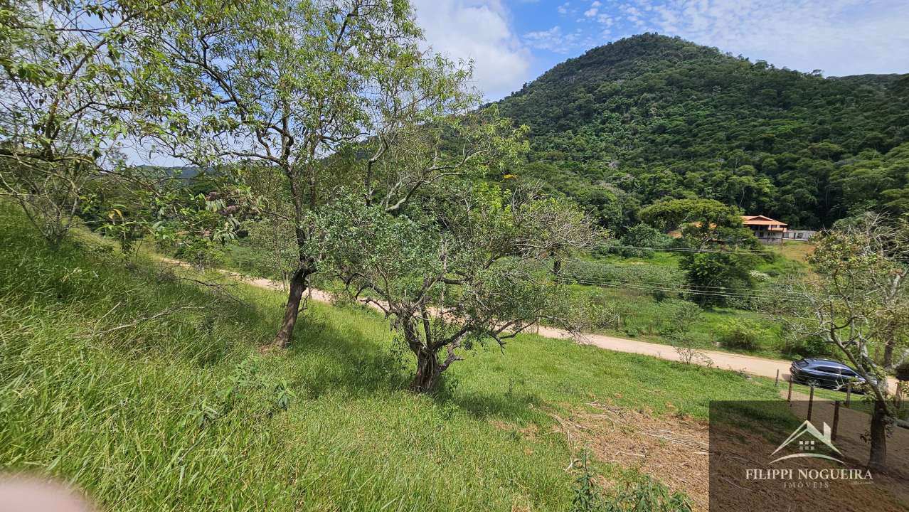 FOTO_5 - 5