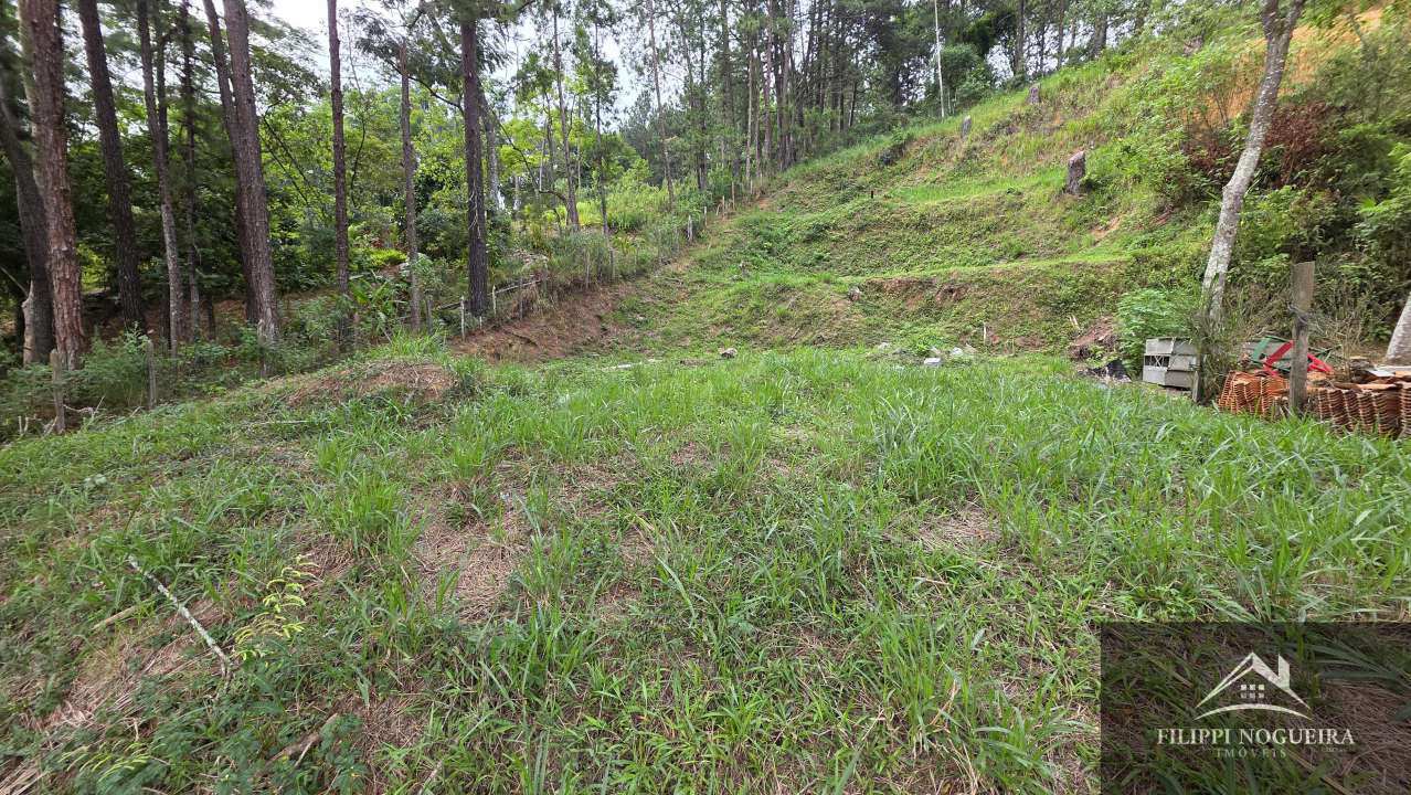 FOTO_3 - 3