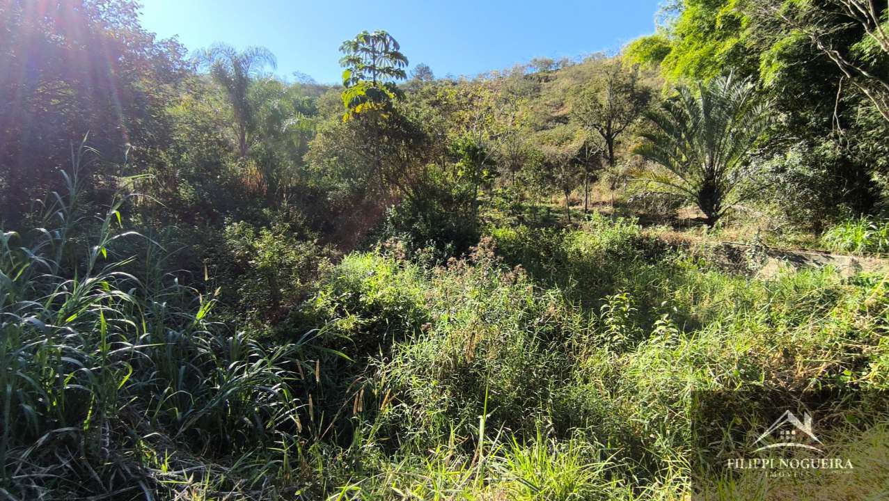 Conheça Excelente sítio com casa sede, lagos, piscina, casa de hóspedes, pomar e uma área total com 76.882m² em Paty do Alferes. - sitiobelavista - 35 35