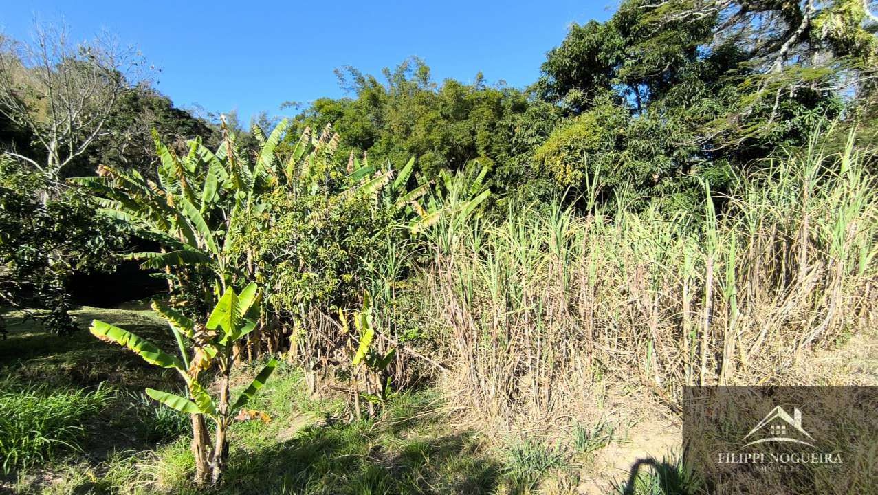 Conheça Excelente sítio com casa sede, lagos, piscina, casa de hóspedes, pomar e uma área total com 76.882m² em Paty do Alferes. - sitiobelavista - 36 36