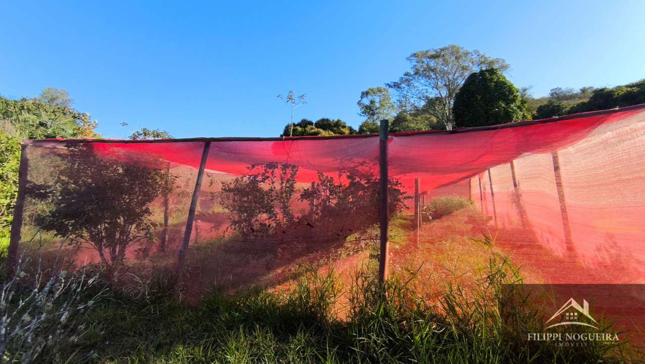Conheça Excelente sítio com casa sede, lagos, piscina, casa de hóspedes, pomar e uma área total com 76.882m² em Paty do Alferes. - sitiobelavista - 56 56