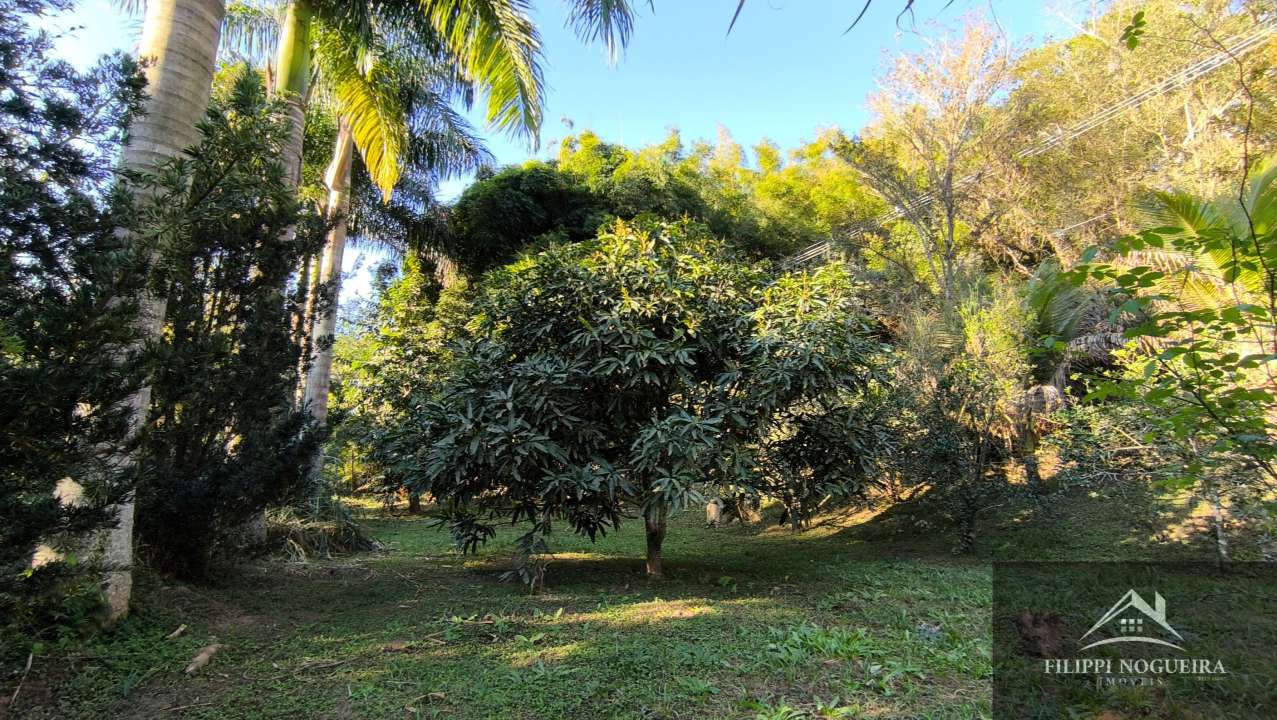 Conheça Excelente sítio com casa sede, lagos, piscina, casa de hóspedes, pomar e uma área total com 76.882m² em Paty do Alferes. - sitiobelavista - 59 59