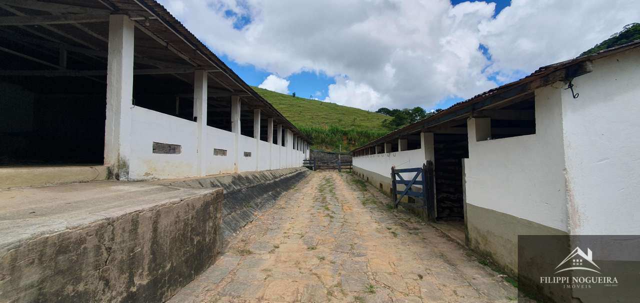 FOTO_5 - 5