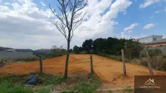 FOTO_4 - 4