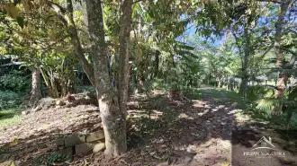 FOTO_5 - 5
