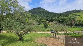FOTO_6 - 6