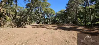 Terreno 1800m² à venda Paty do Alferes,RJ - R$ 750.000 - trgipaty