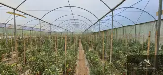 FOTO_5 - 5
