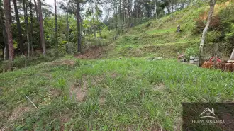 FOTO_3 - 3