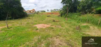 FOTO_1 - 1