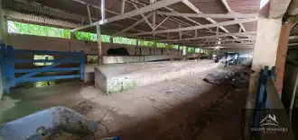 FOTO_14 - 14
