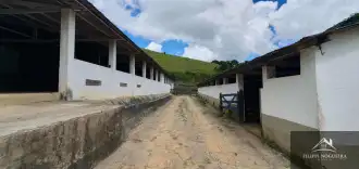 FOTO_5 - 5