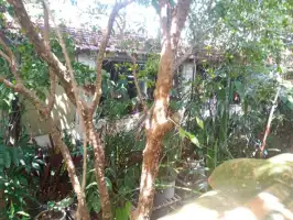 Conheça Casa 1 quarto à venda Jardim Sulacap, Rio de Janeiro - R$ 225.000 - OP1355 - 18 18