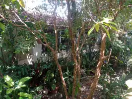 Conheça Casa 1 quarto à venda Jardim Sulacap, Rio de Janeiro - R$ 225.000 - OP1355 - 19 19