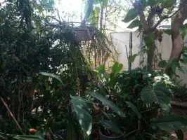 Conheça Casa 1 quarto à venda Jardim Sulacap, Rio de Janeiro - R$ 225.000 - OP1355 - 20 20