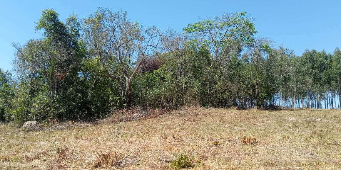 Conheça Chácara à venda Santana, SANTANA'S,São Pedro - R$ 260.000 - CH101 - 3 3