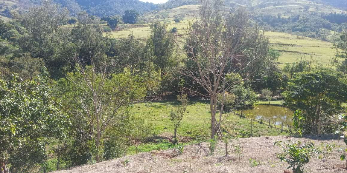 Conheça Chácara à venda Santana, SANTANA'S,São Pedro - R$ 260.000 - CH102 - 1 1