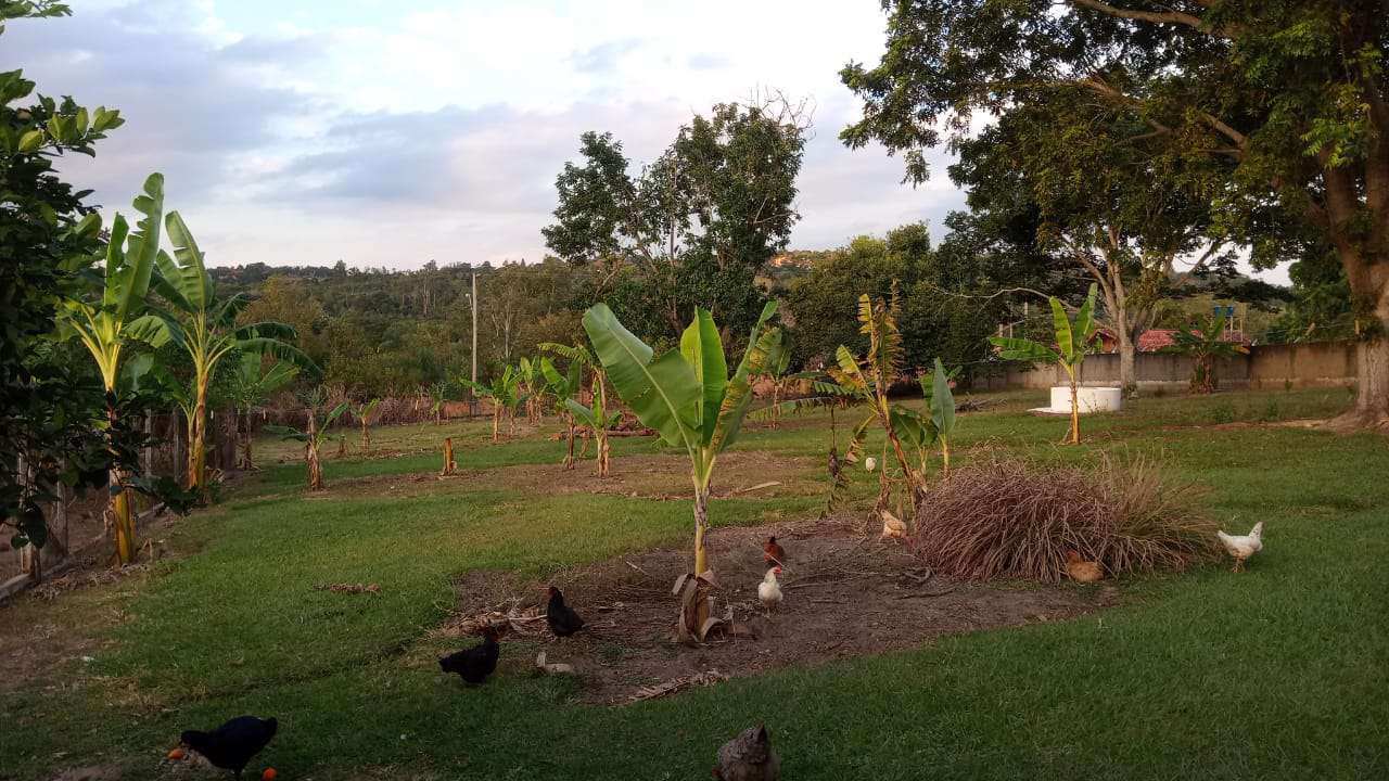 Conheça Chácara à venda LOT. Camargo I, São Pedro - R$ 550.000 - CH104 - 2 2