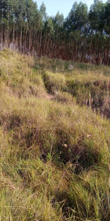 Conheça Sítio à venda Zona Rural, Águas de São Pedro - R$ 600.000 - ST005 - 10 10