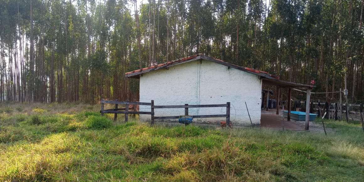 Conheça Sítio à venda Zona Rural, Águas de São Pedro - R$ 600.000 - ST005 - 17 17