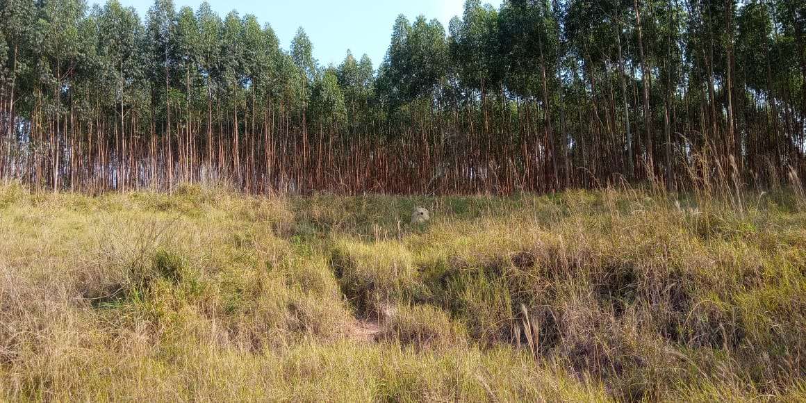 Conheça Sítio à venda Zona Rural, Águas de São Pedro - R$ 600.000 - ST005 - 21 21