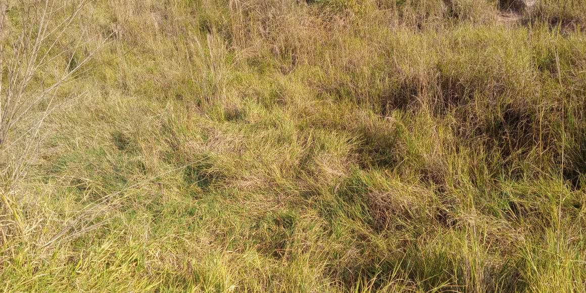 Conheça Sítio à venda Zona Rural, Águas de São Pedro - R$ 600.000 - ST005 - 22 22