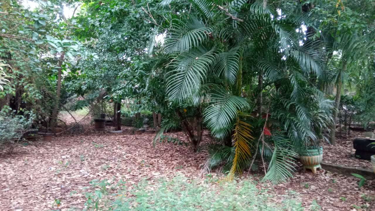 Conheça Chácara à venda Vila Nova, São Pedro - R$ 350.000 - CH096 - 2 2