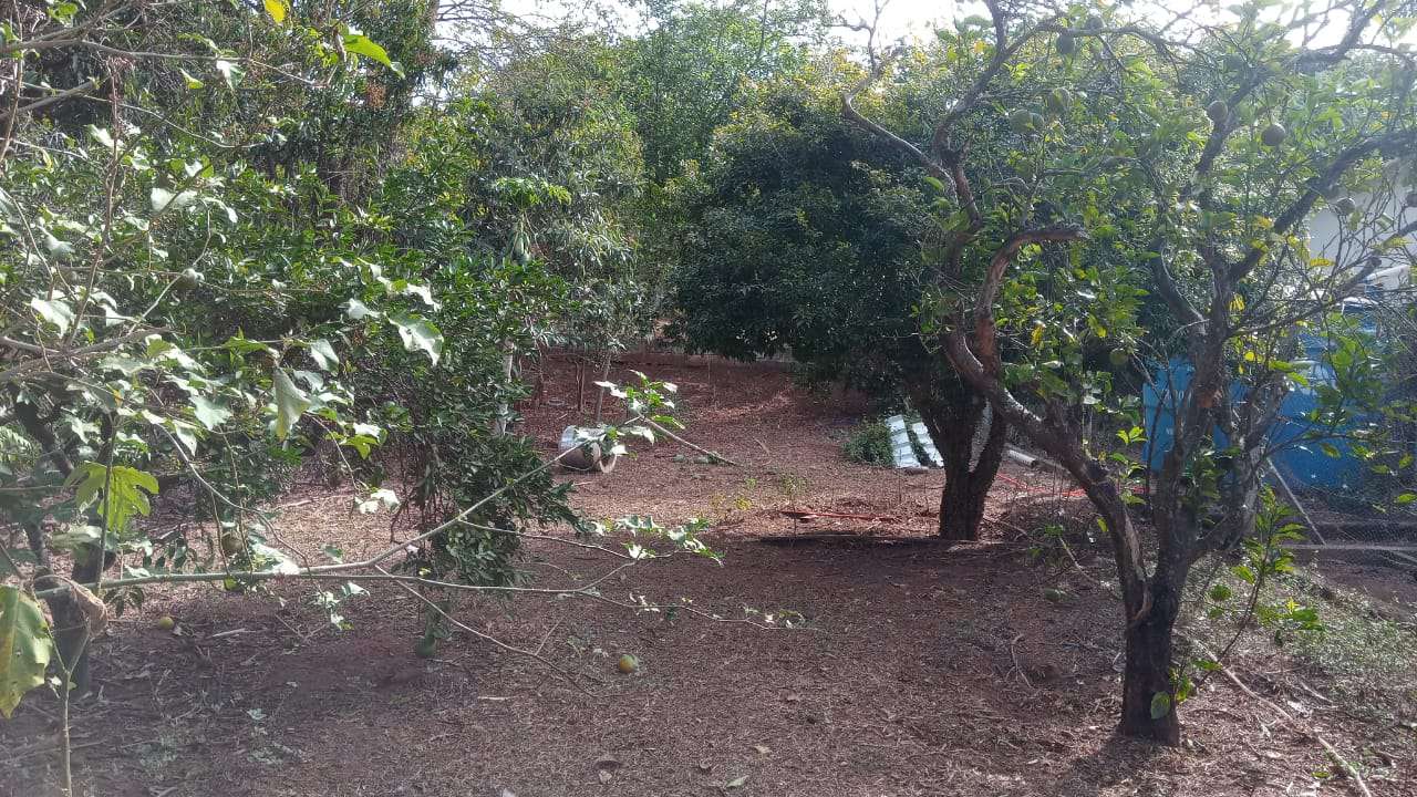Conheça Chácara à venda Alpes das Águas, São Pedro - R$ 1.500.000 - CH056 - 11 11