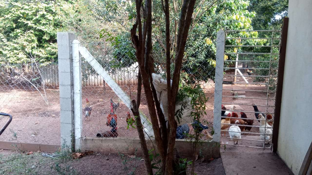 Conheça Chácara à venda Alpes das Águas, São Pedro - R$ 1.500.000 - CH056 - 13 13
