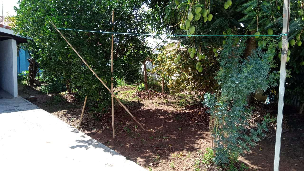 Conheça Casa 1 quarto à venda Novo Horizonte, São Pedro - R$ 260.000 - CS200 - 2 2