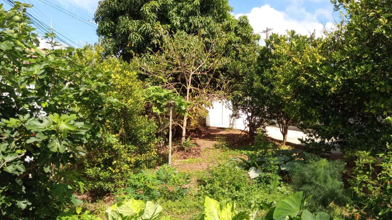 Conheça Casa 1 quarto à venda Novo Horizonte, São Pedro - R$ 260.000 - CS200 - 3 3