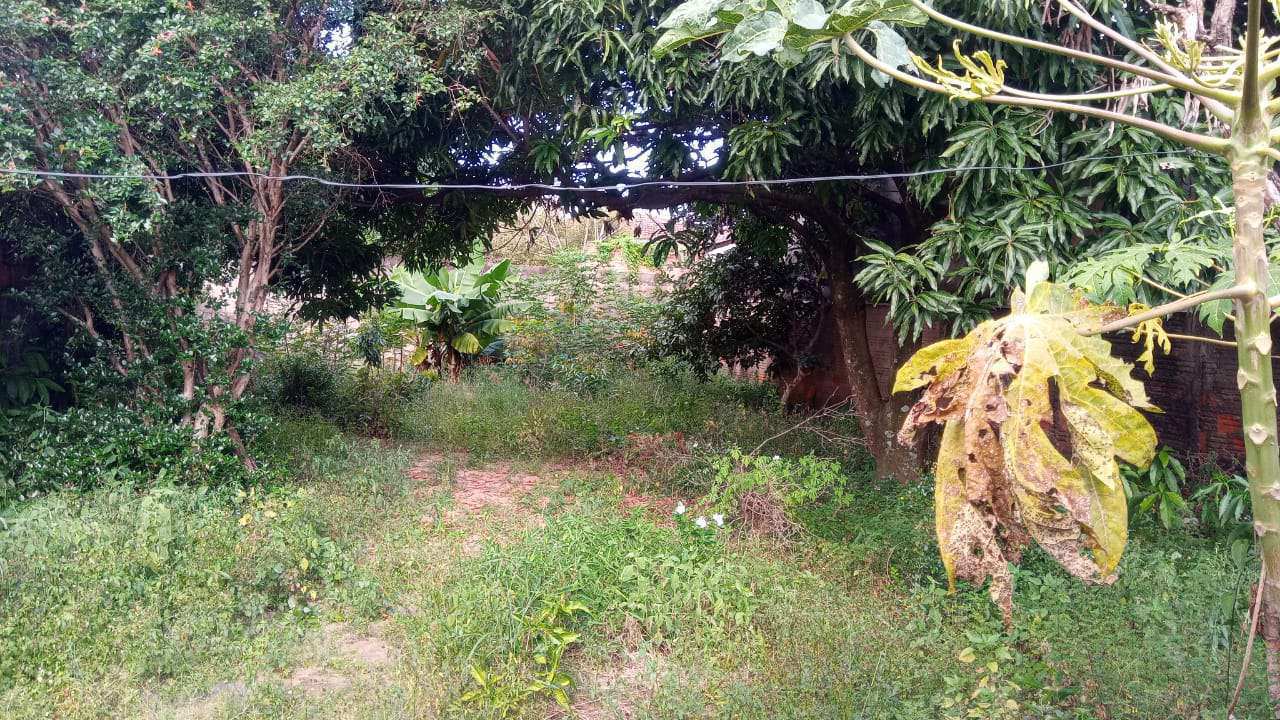 Conheça Casa 3 quartos à venda Santa Cruz, São Pedro - R$ 350.000 - CS205 - 11 11