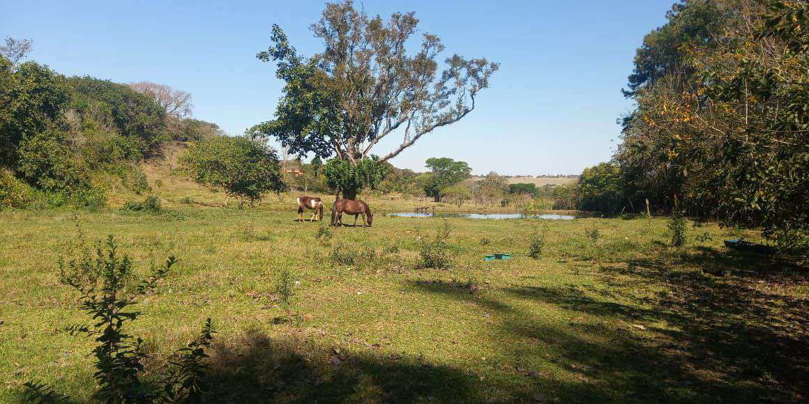 Conheça Chácara à venda Santana, São Pedro - R$ 290.000 - CH202 - 3 3