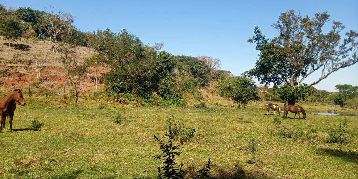 Conheça Chácara à venda Santana, São Pedro - R$ 290.000 - CH202 - 4 4