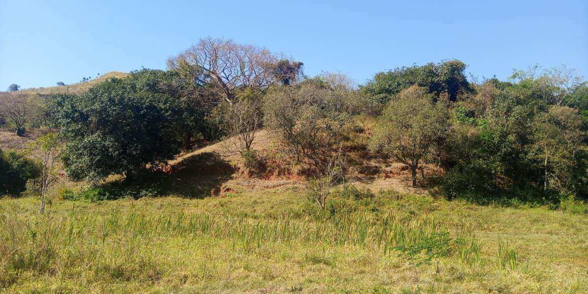 Conheça Chácara à venda Santana, São Pedro - R$ 290.000 - CH202 - 9 9