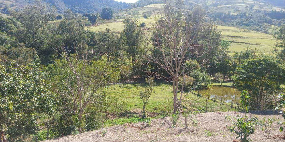 Conheça Chácara à venda Santana, São Pedro - R$ 290.000 - CH202 - 13 13
