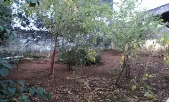 Conheça Casa à venda Jardim Mariluz III, São Pedro - R$ 540.000 - CS034 - 12 12
