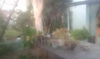 Conheça Casa 3 quartos à venda Recanto das Águas, São Pedro - R$ 260.000 - CS307 - 7 7