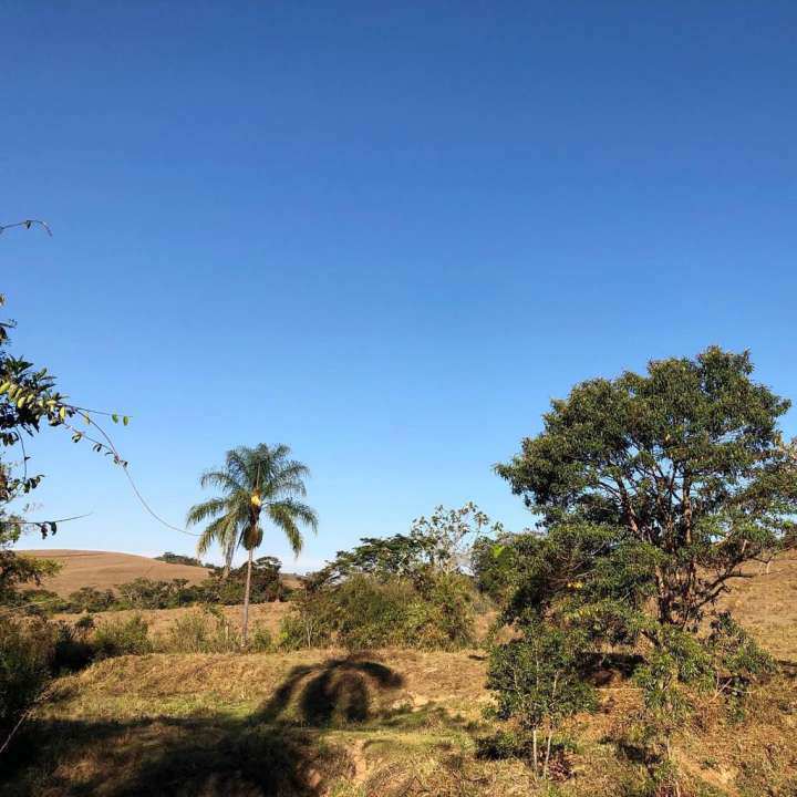 Conheça Fazenda 85hm² à venda Rodovia BR 267, Centro, Capoeira Grande,Bom Jardim de Minas - R$ 1.200.000 - BJfazenda - 4 4