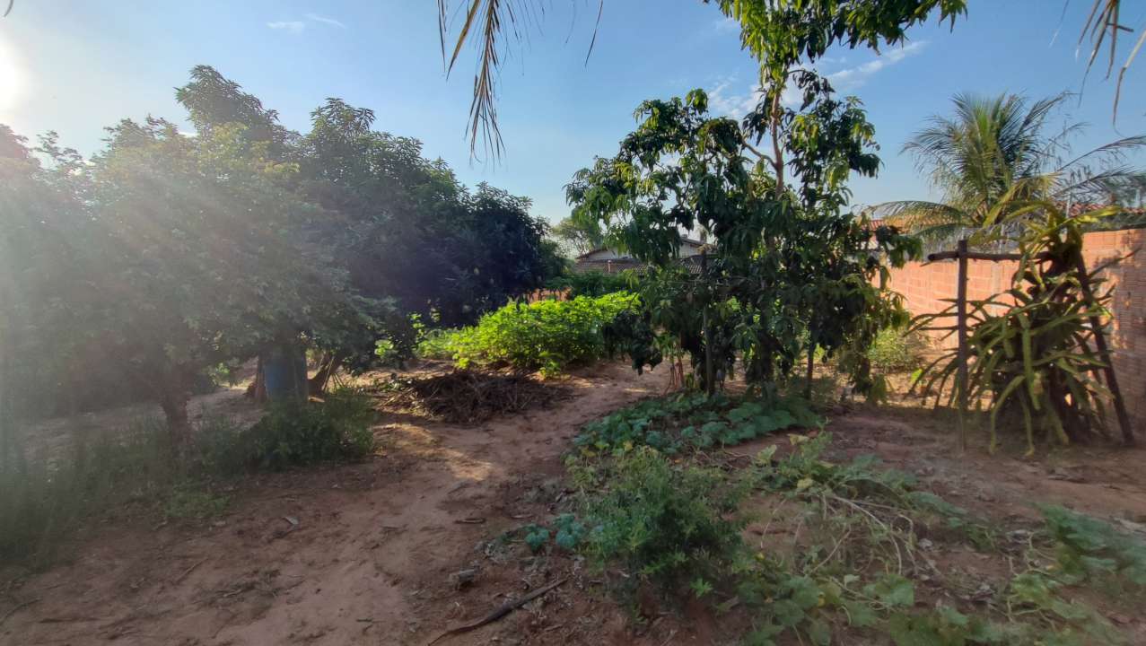 Conheça Chácara 1400m² à venda Sales,SP Residencia Floriano - R$ 339.200 - KB920 - 15 15