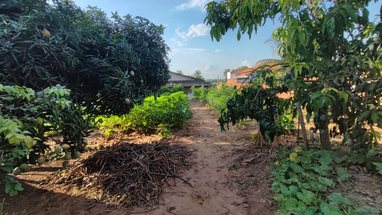Conheça Chácara 1400m² à venda Sales,SP Residencia Floriano - R$ 339.200 - KB920 - 16 16