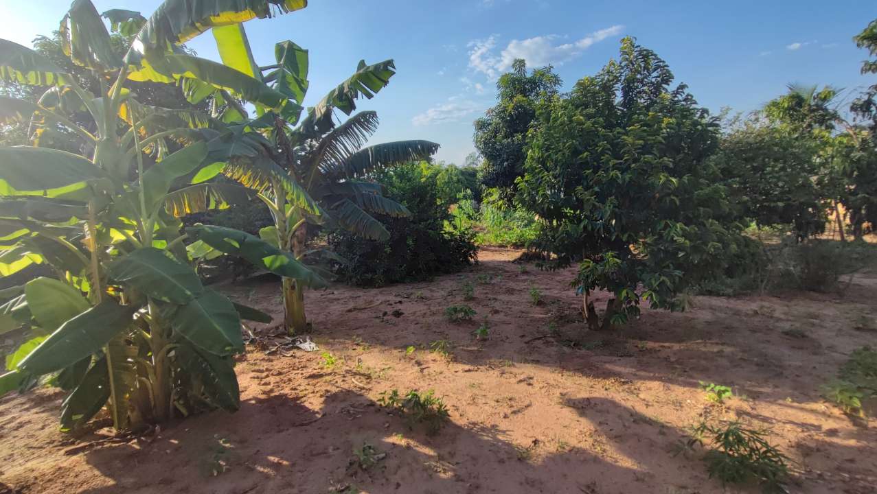 Conheça Chácara 1400m² à venda Sales,SP Residencia Floriano - R$ 339.200 - KB920 - 18 18